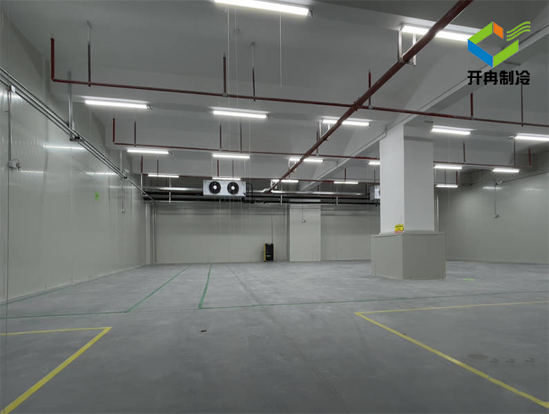 建造一個500平方氣調(diào)冷庫造價設計方案